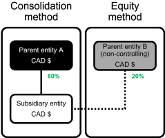 A subsidiary entity has two parent entities with 80% and 20% ownership of the subsidiary, respectively. Apply the Consolidation method to parent entity A (that owns 80%) and the Equity method to parent entity B (that owns 20%).