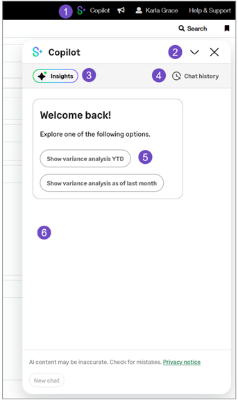 Shows the Copilot panel with callouts on user interface elements.